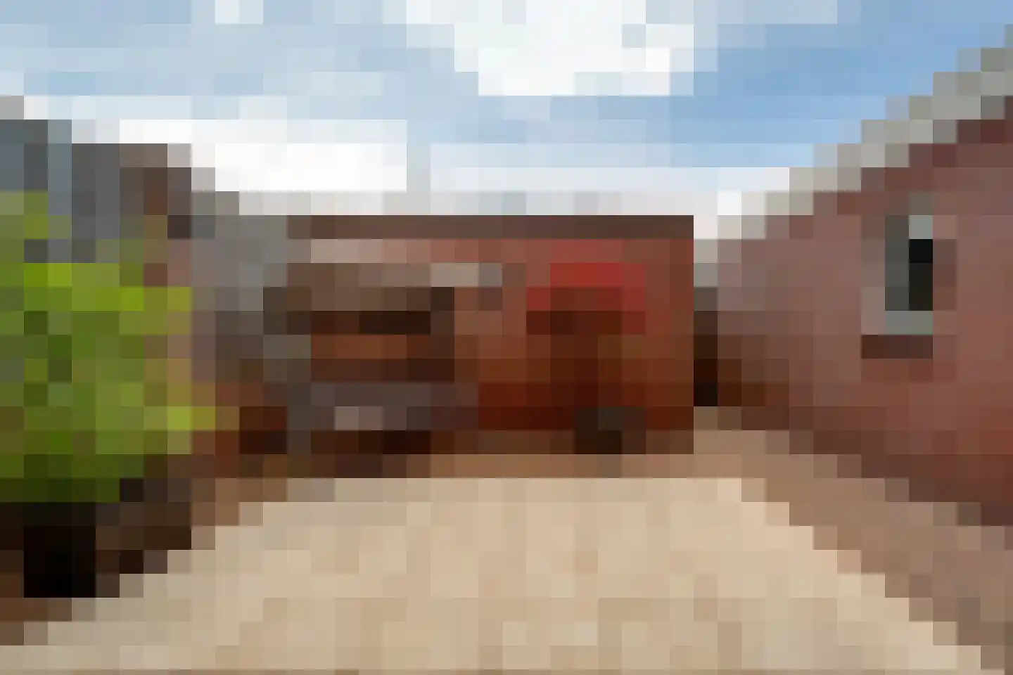Wagnerstraat 7 Zevenaar thumbnail 26