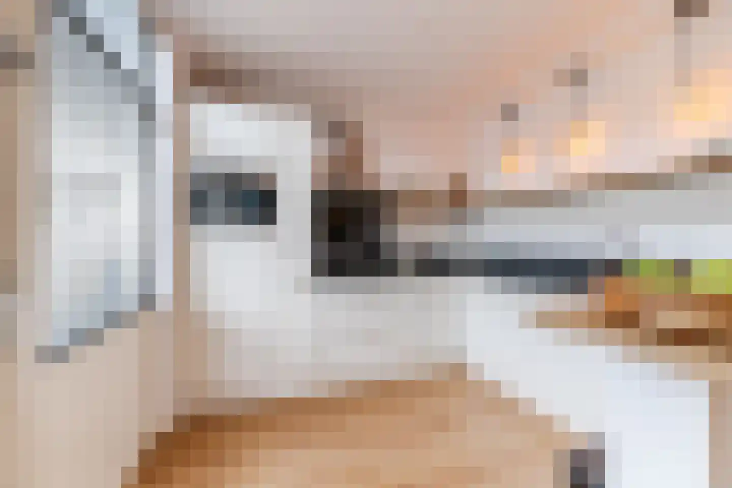 Wagnerstraat 8 Dongen thumbnail 15