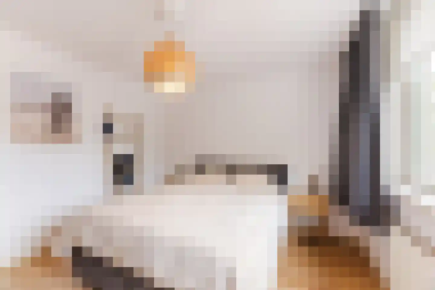Wagnerstraat 8 Dongen thumbnail 23