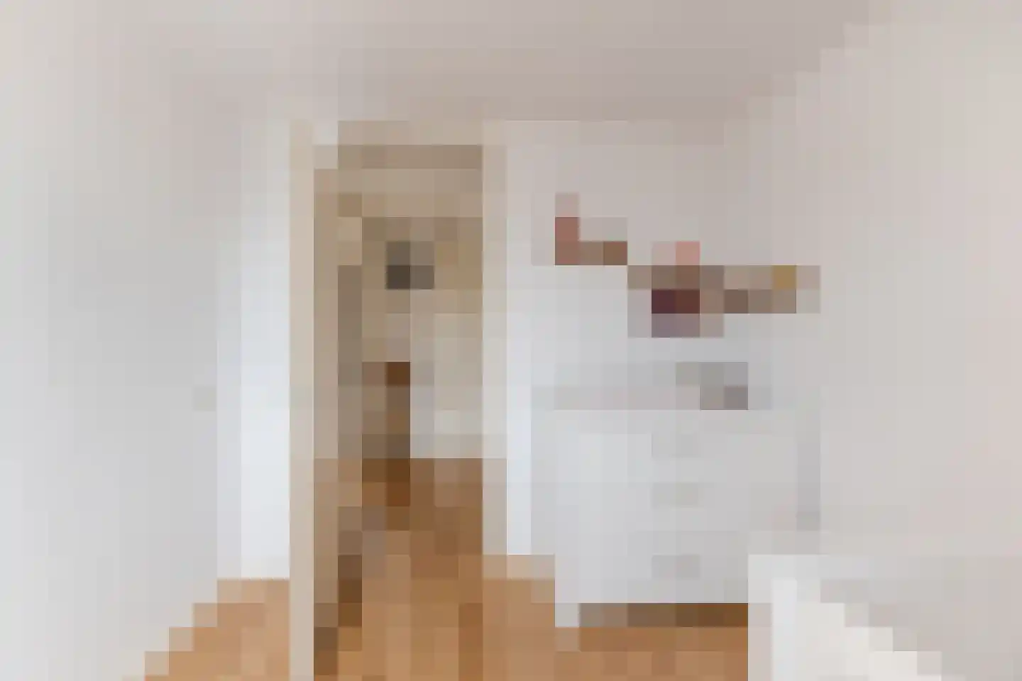 Wagnerstraat 8 Dongen thumbnail 26