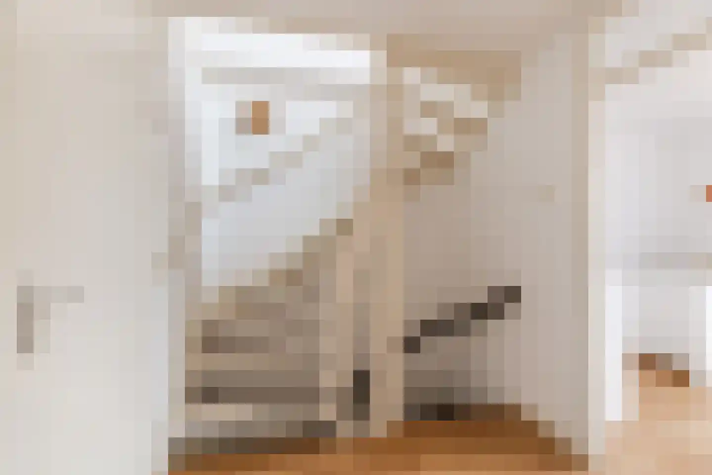 Wagnerstraat 8 Dongen thumbnail 34