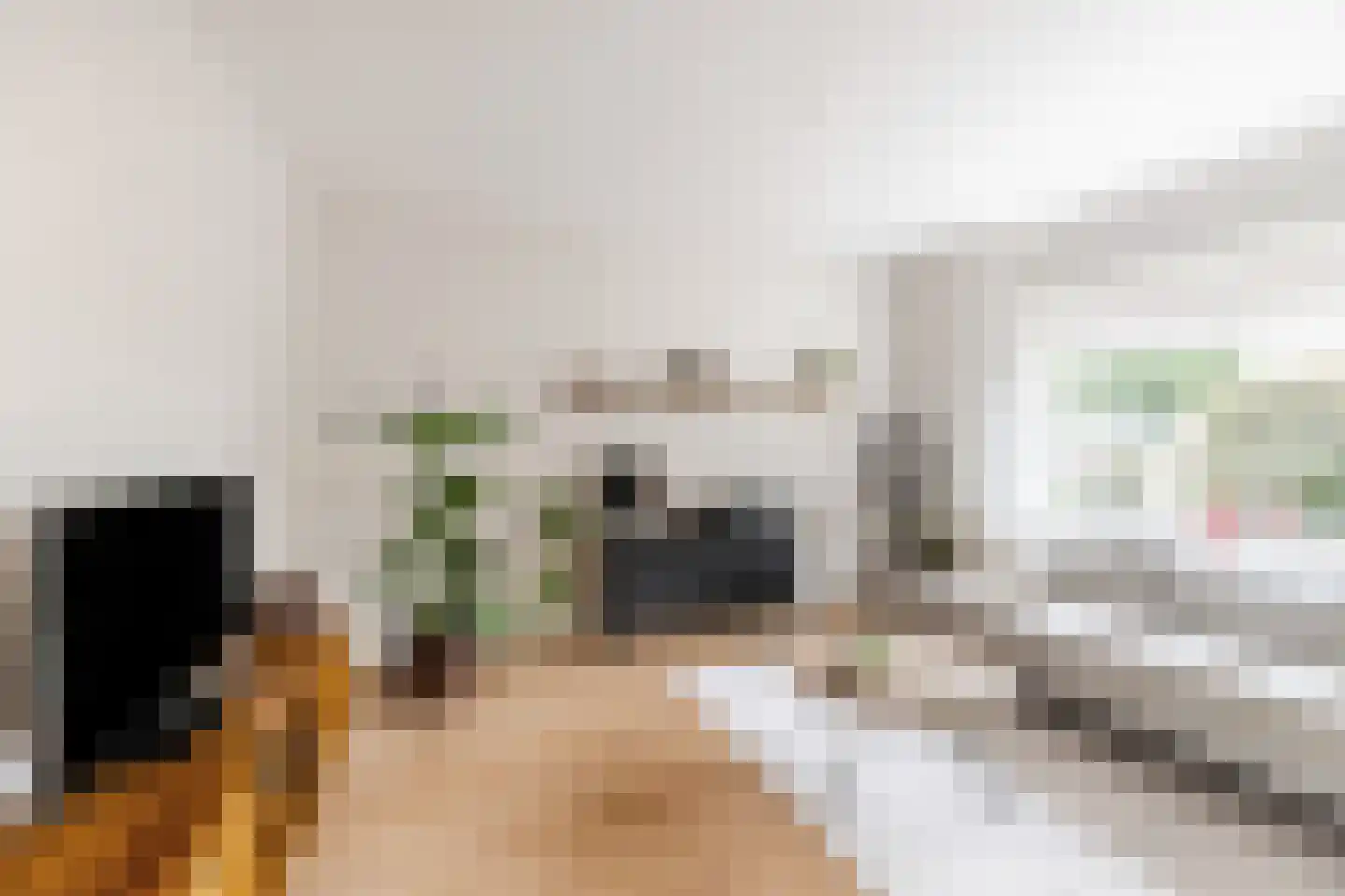 Wagnerstraat 8 Dongen thumbnail 7