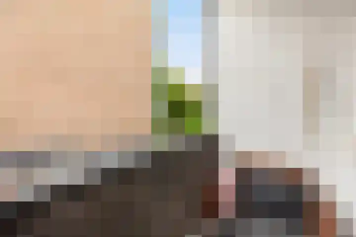 Wagnerstraat 9 C Vlaardingen thumbnail 17