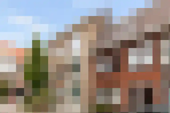 Wagnerstraat 9 C Vlaardingen thumbnail 26