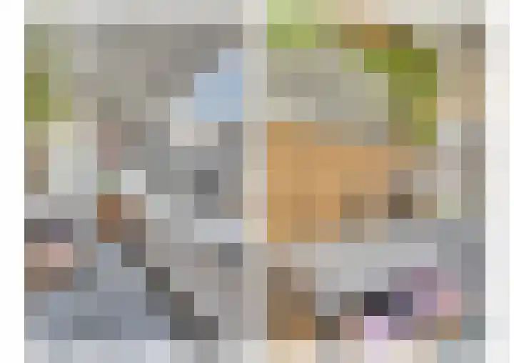 Waije 12 Neer thumbnail 23
