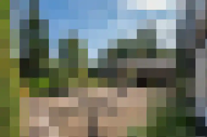 Waije 12 Neer thumbnail 29