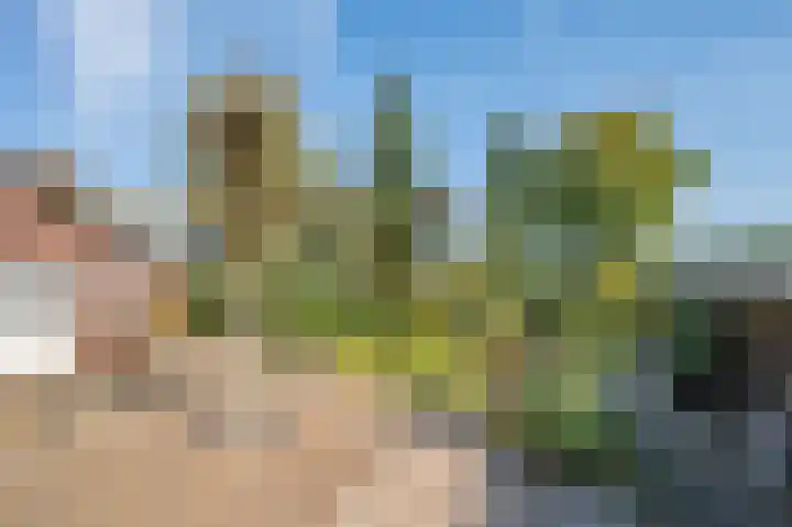 Waije 12 Neer thumbnail 30