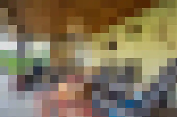 Waije 12 Neer thumbnail 33