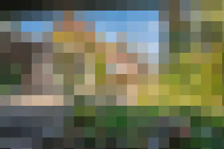 Waije 12 Neer thumbnail 34