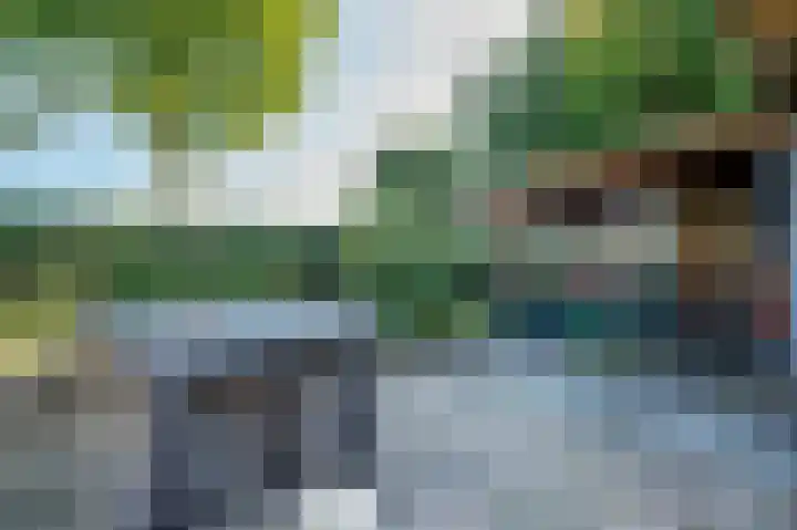 Waije 12 Neer thumbnail 36