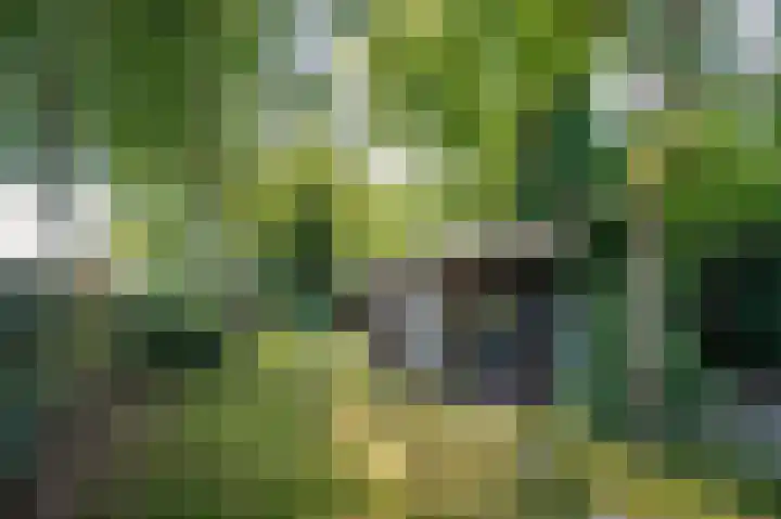 Waije 12 Neer thumbnail 39