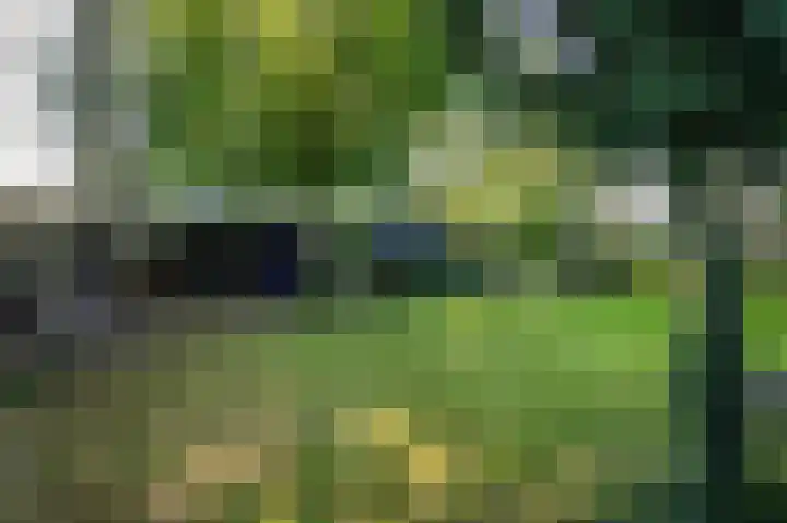 Waije 12 Neer thumbnail 41