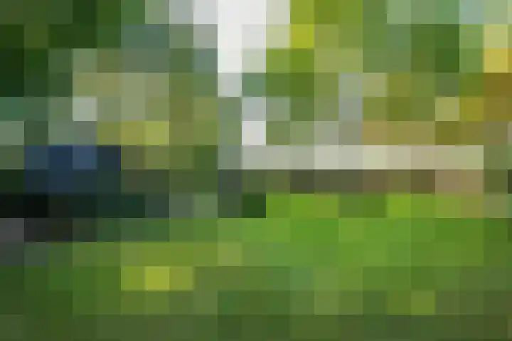 Waije 12 Neer thumbnail 42