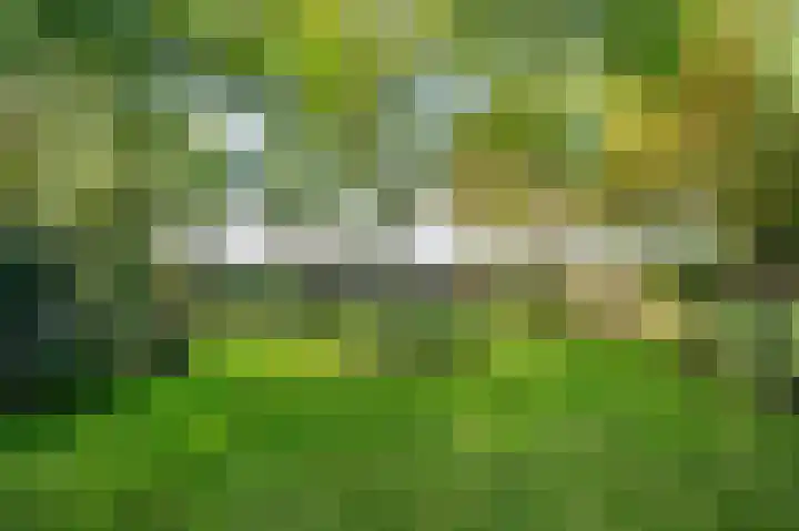 Waije 12 Neer thumbnail 43