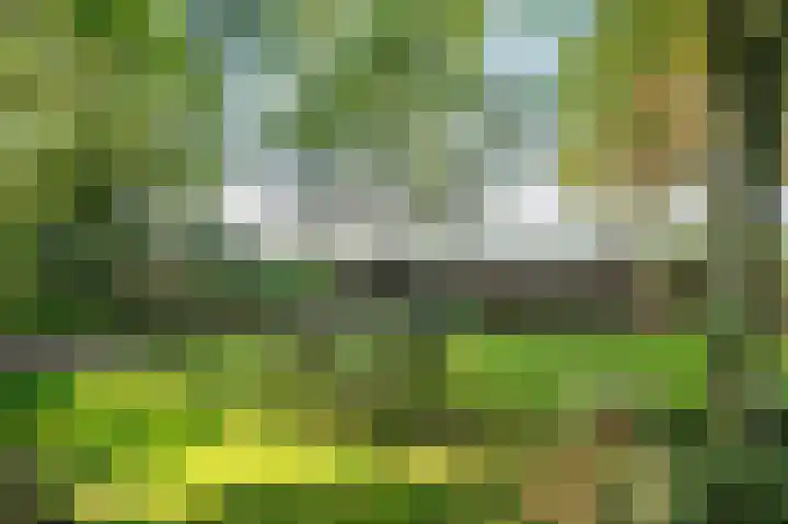 Waije 12 Neer thumbnail 44