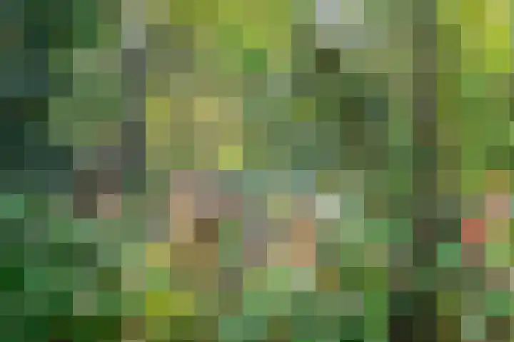 Waije 12 Neer thumbnail 45