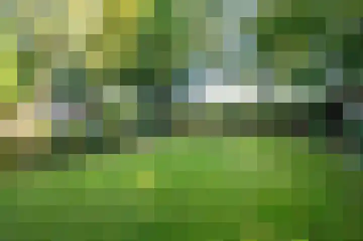 Waije 12 Neer thumbnail 46