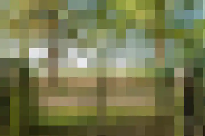 Waije 12 Neer thumbnail 47