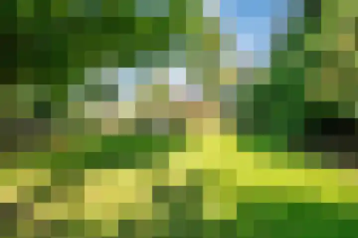 Waije 12 Neer thumbnail 51