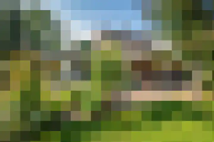 Waije 12 Neer thumbnail 53