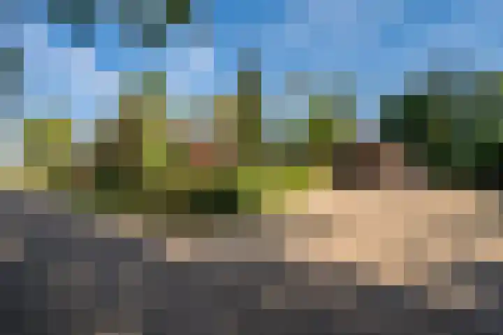 Waije 12 Neer thumbnail 57