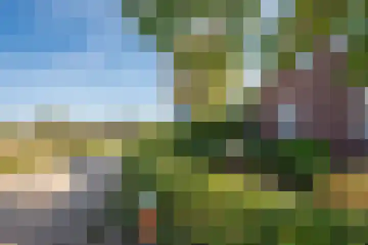 Waije 12 Neer thumbnail 59