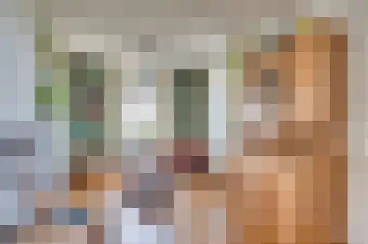 Waije 12 Neer thumbnail 6