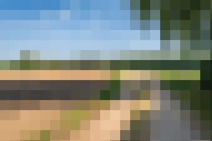 Waije 12 Neer thumbnail 60