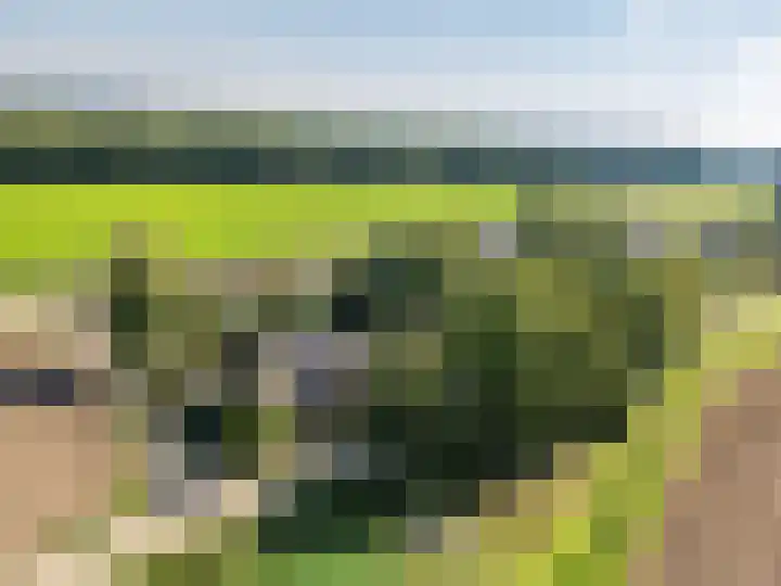 Waije 12 Neer thumbnail 61