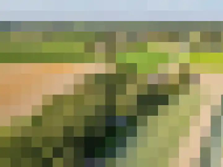 Waije 12 Neer thumbnail 63
