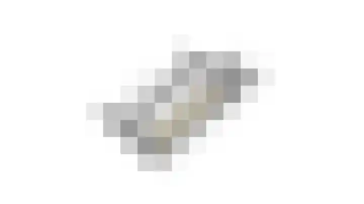 Waije 12 Neer thumbnail 71