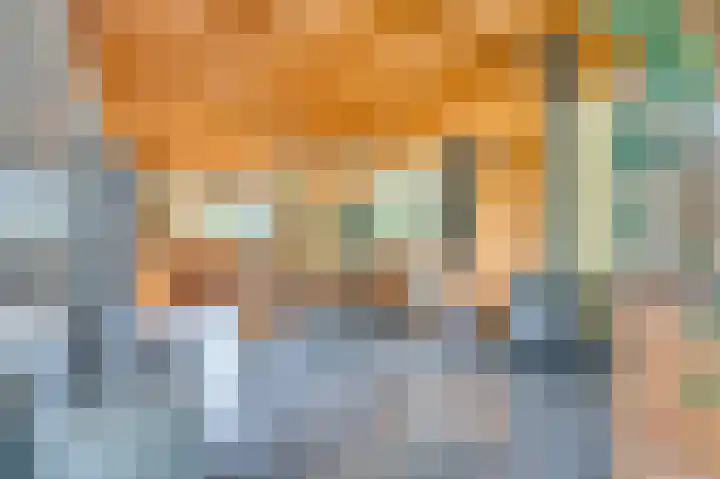 Waije 12 Neer thumbnail 9