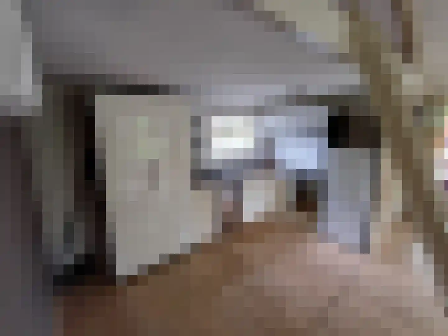 Waijensedijk 8 6 Houten thumbnail 10