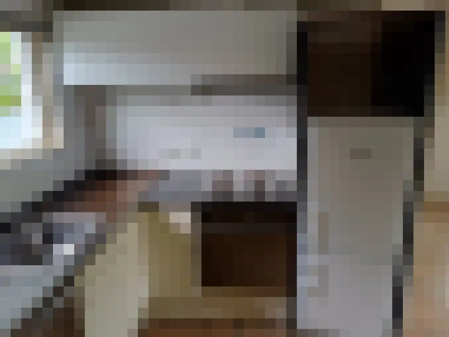 Waijensedijk 8 6 Houten thumbnail 11