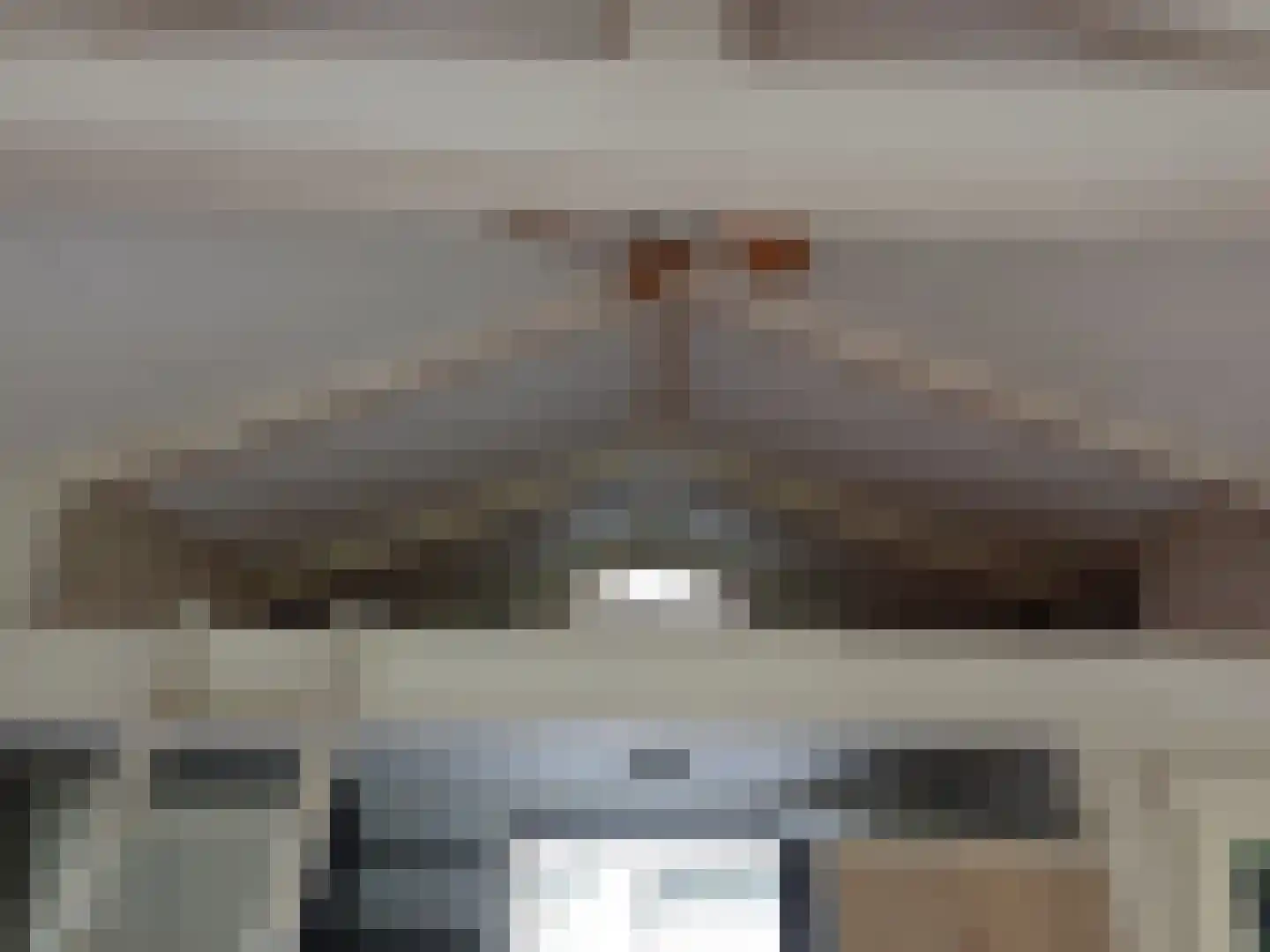 Waijensedijk 8 6 Houten thumbnail 13