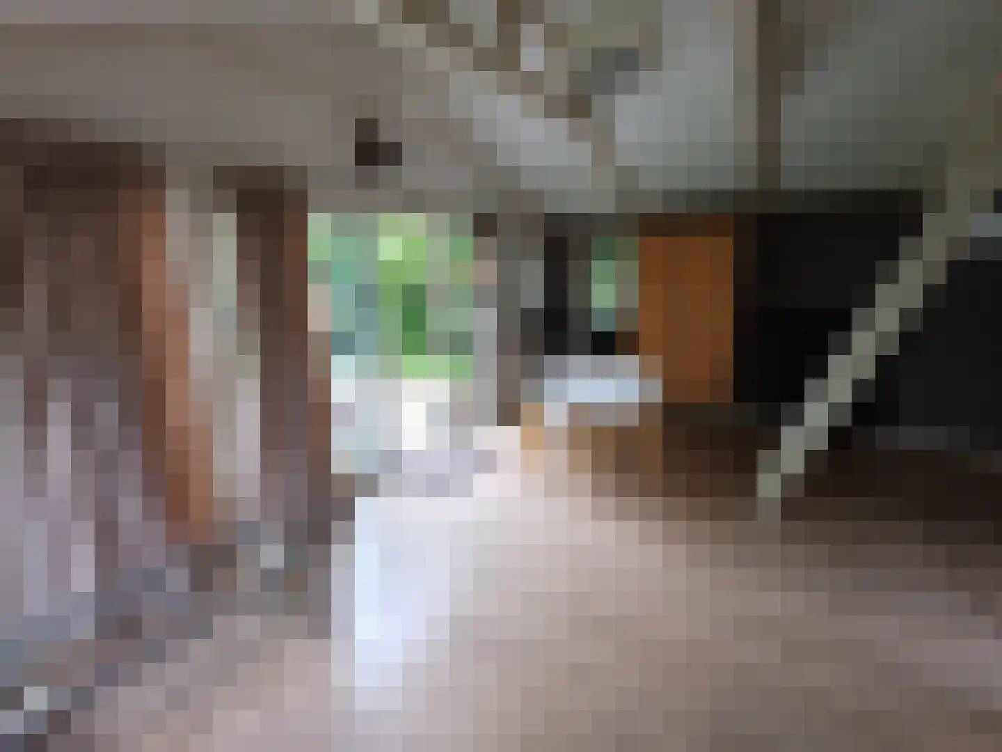 Waijensedijk 8 6 Houten thumbnail 14