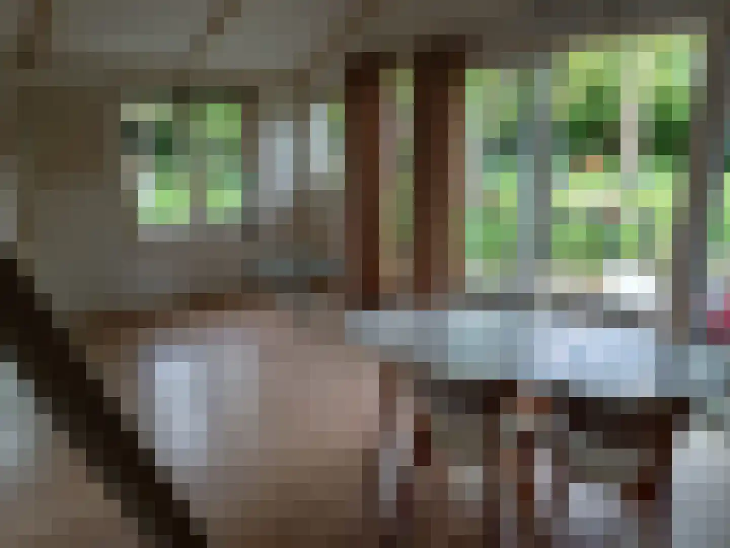 Waijensedijk 8 6 Houten thumbnail 15