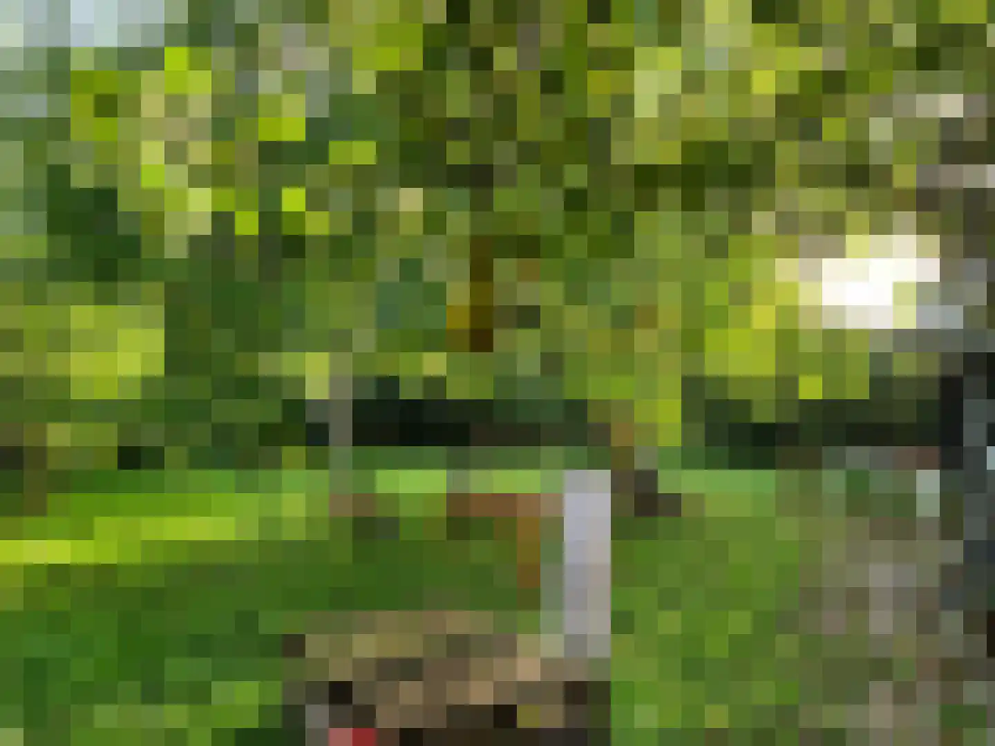 Waijensedijk 8 6 Houten thumbnail 4