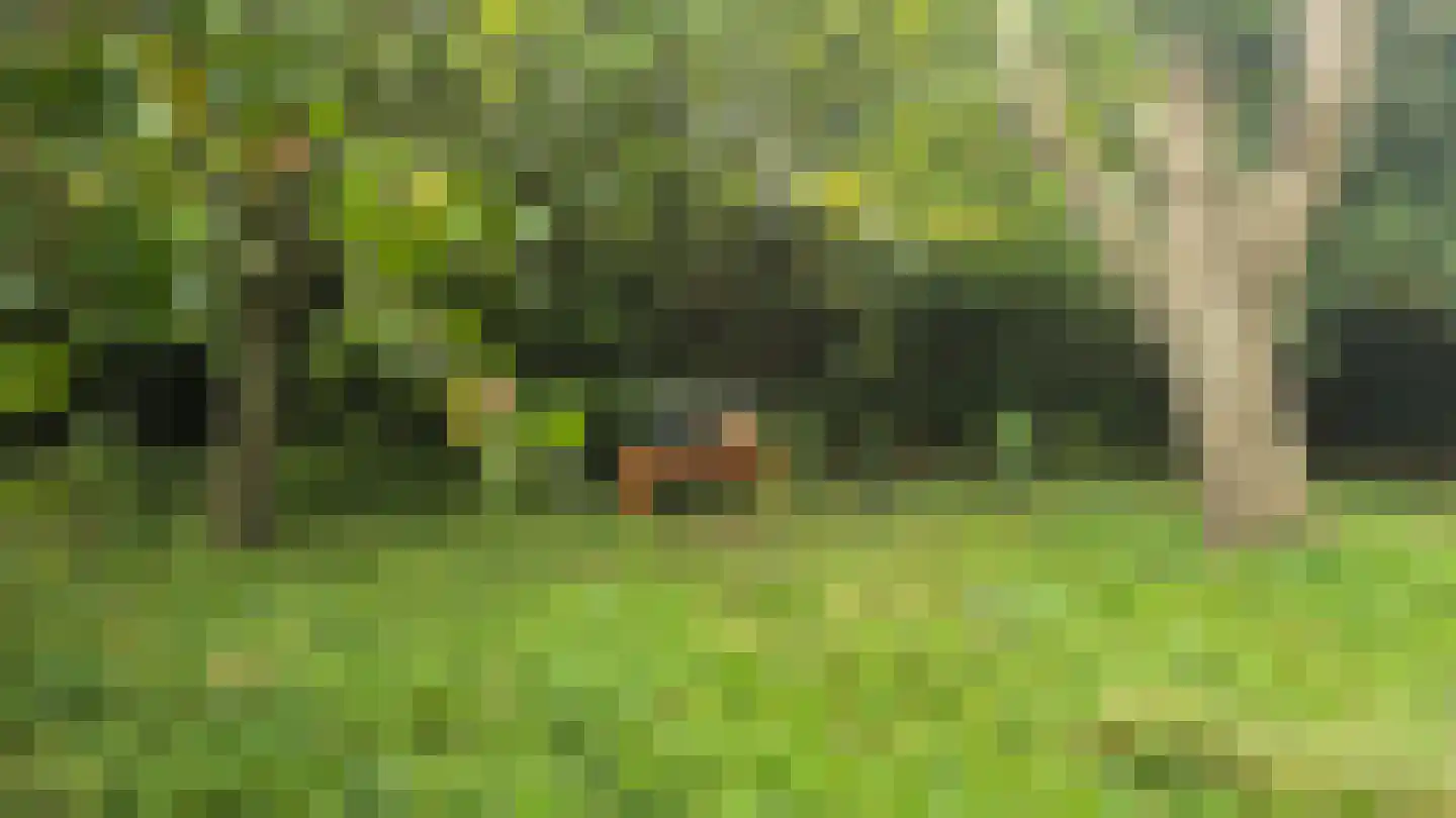 Waijensedijk 8 6 Houten thumbnail 5