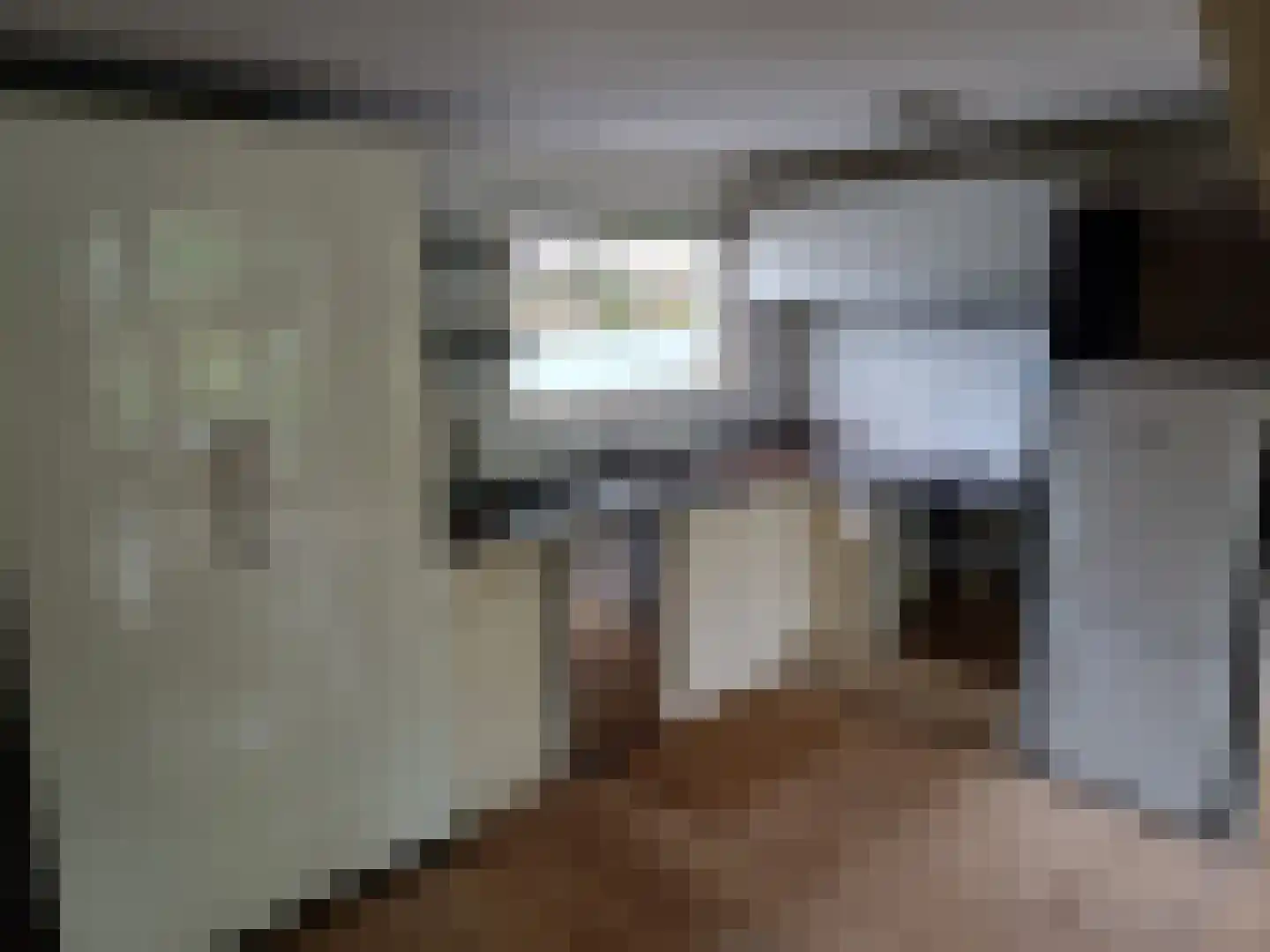 Waijensedijk 8 6 Houten thumbnail 8