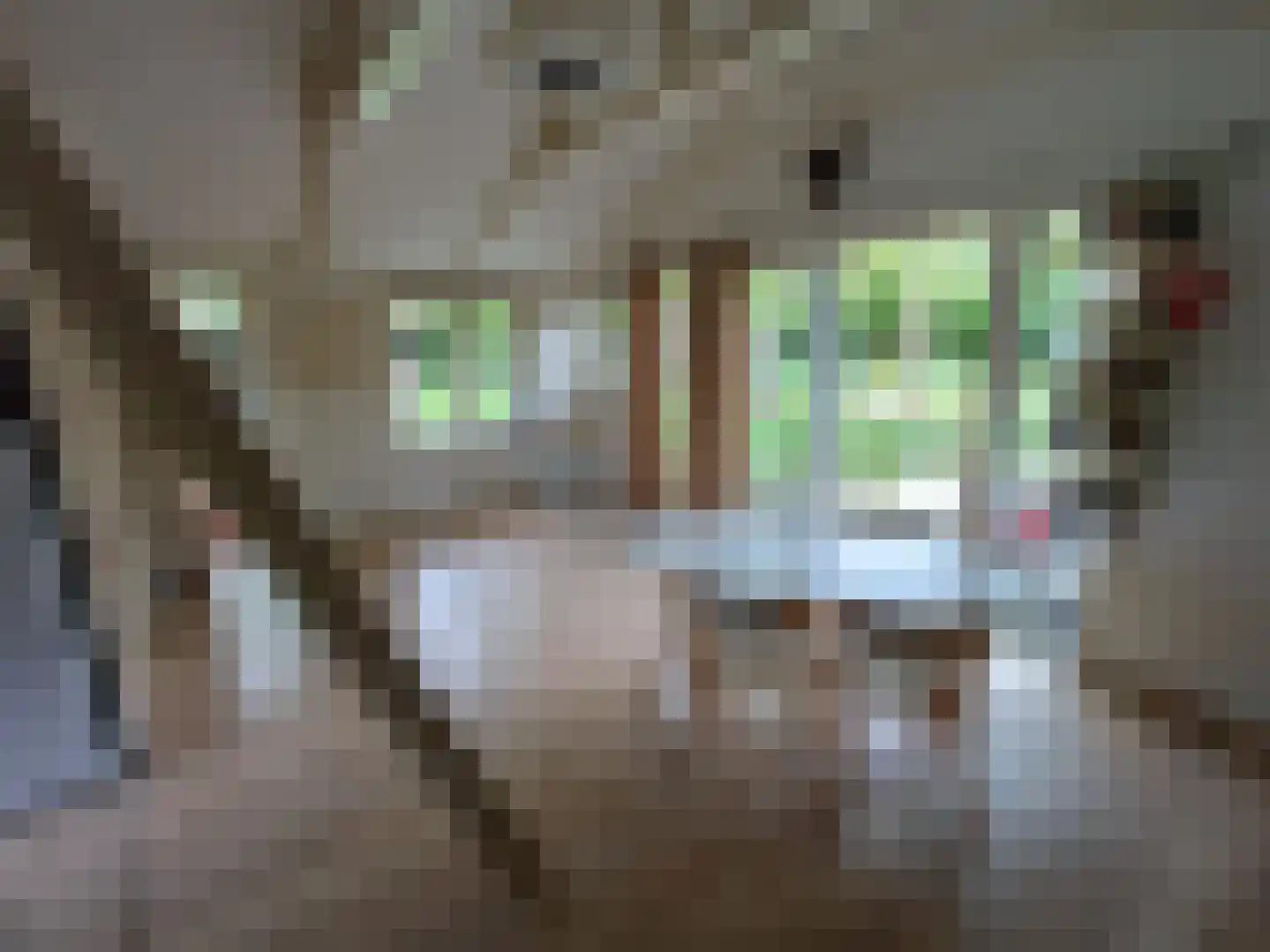 Waijensedijk 8 6 Houten thumbnail 9