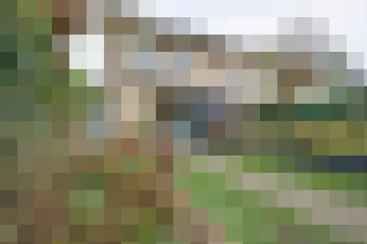 Wajangstraat 2 Purmerend thumbnail 30