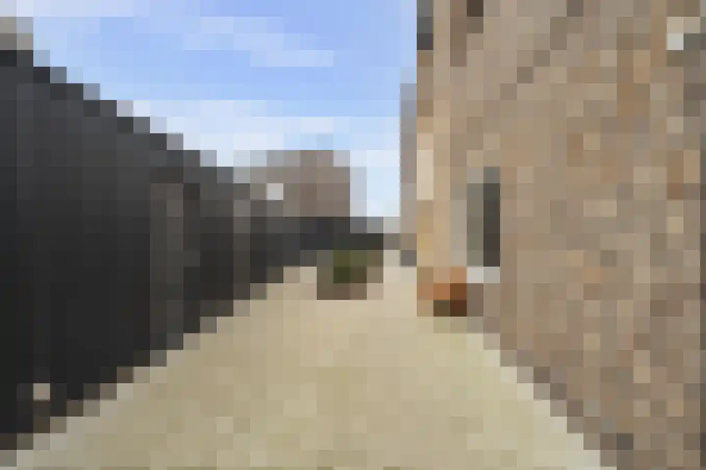 Waker 43 Kampen thumbnail 10