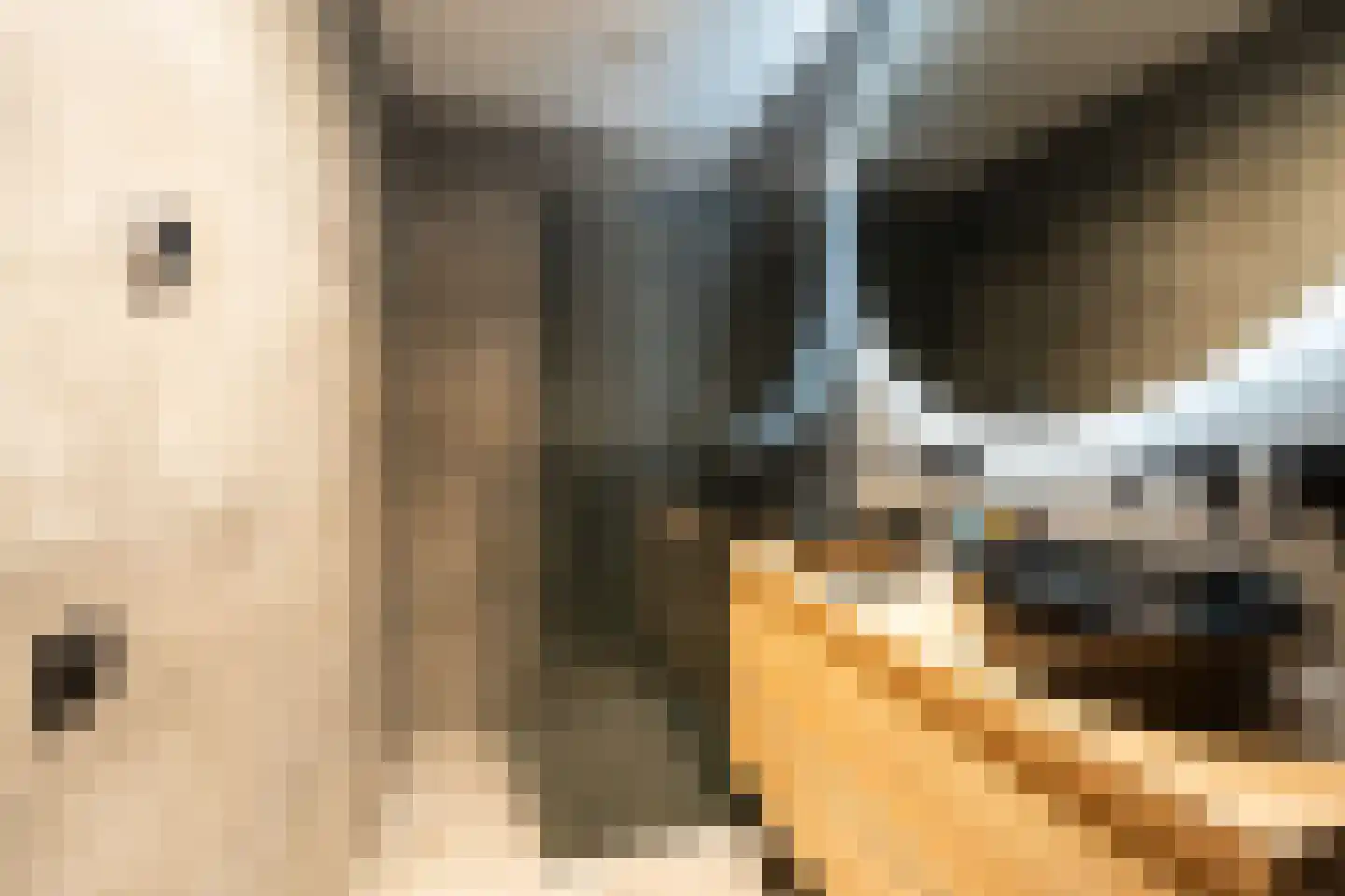 Waker 43 Kampen thumbnail 25