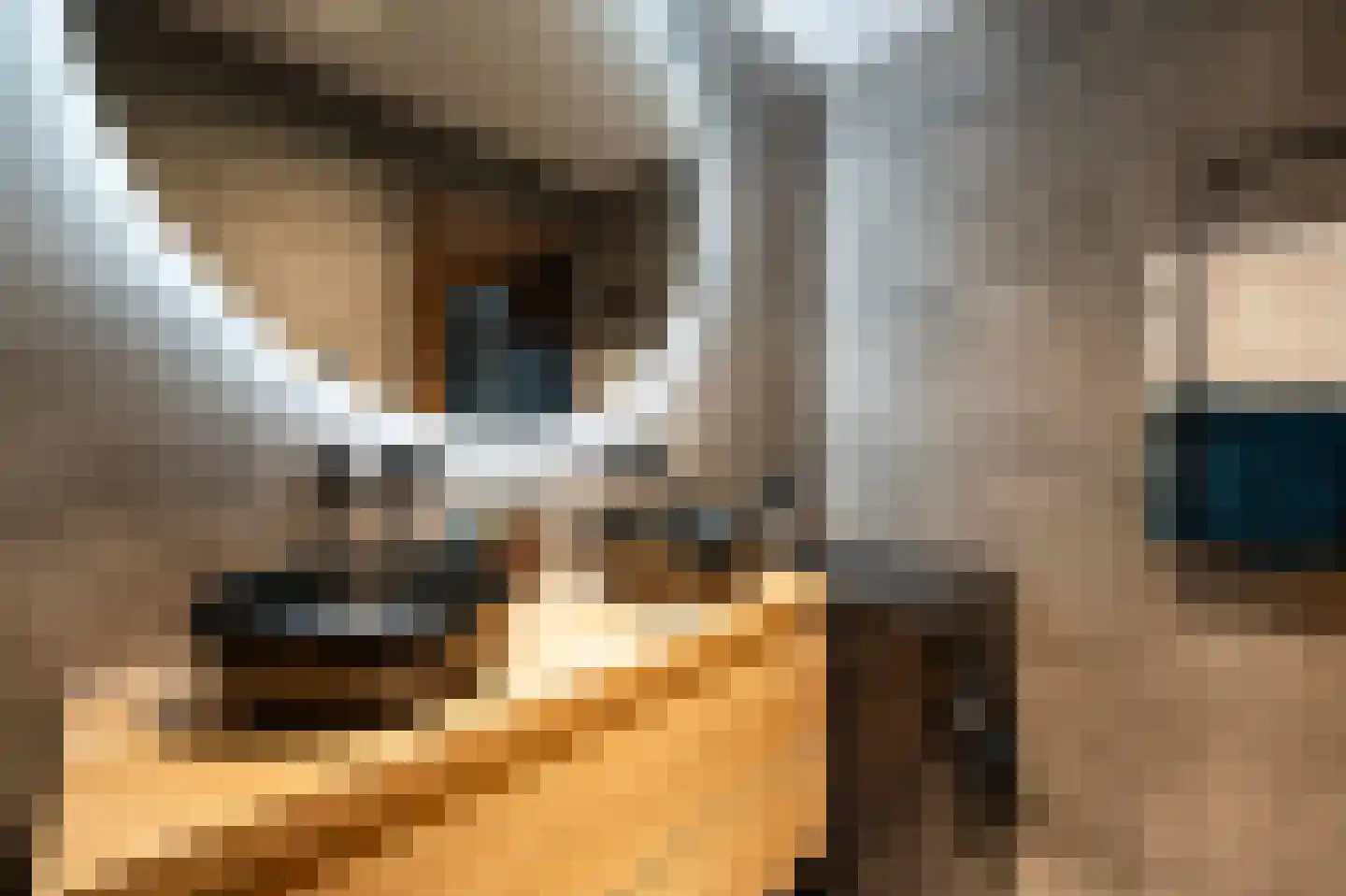 Waker 43 Kampen thumbnail 26