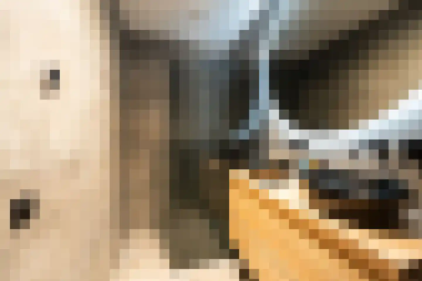 Waker 43 Kampen thumbnail 4