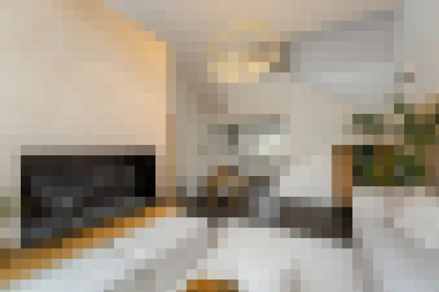 Waker 5 Kampen thumbnail 24
