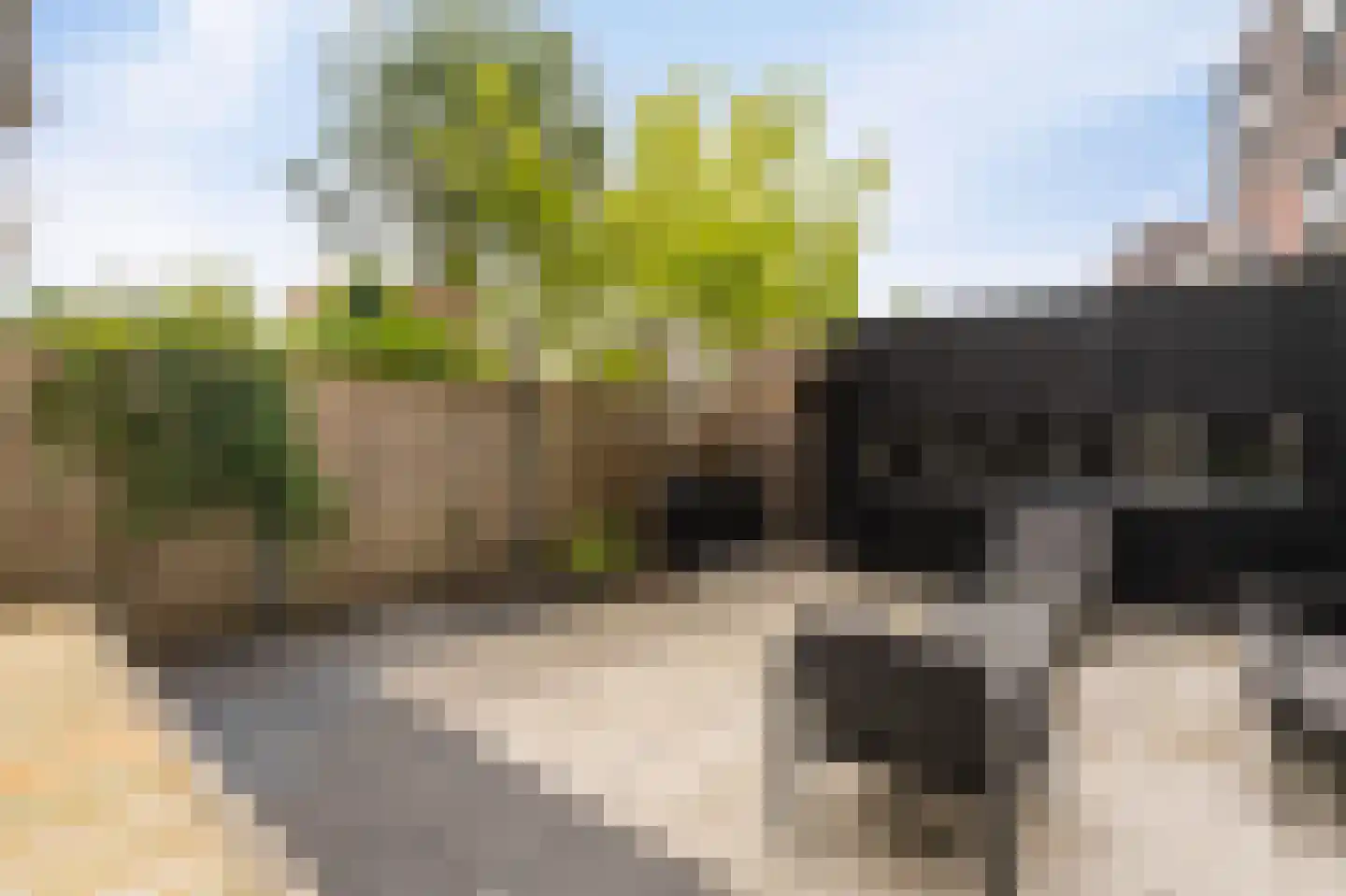 Waker 5 Kampen thumbnail 29