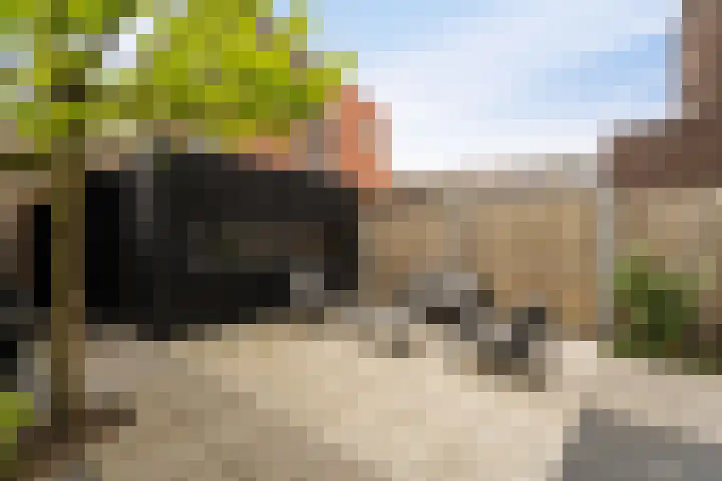Waker 5 Kampen thumbnail 30