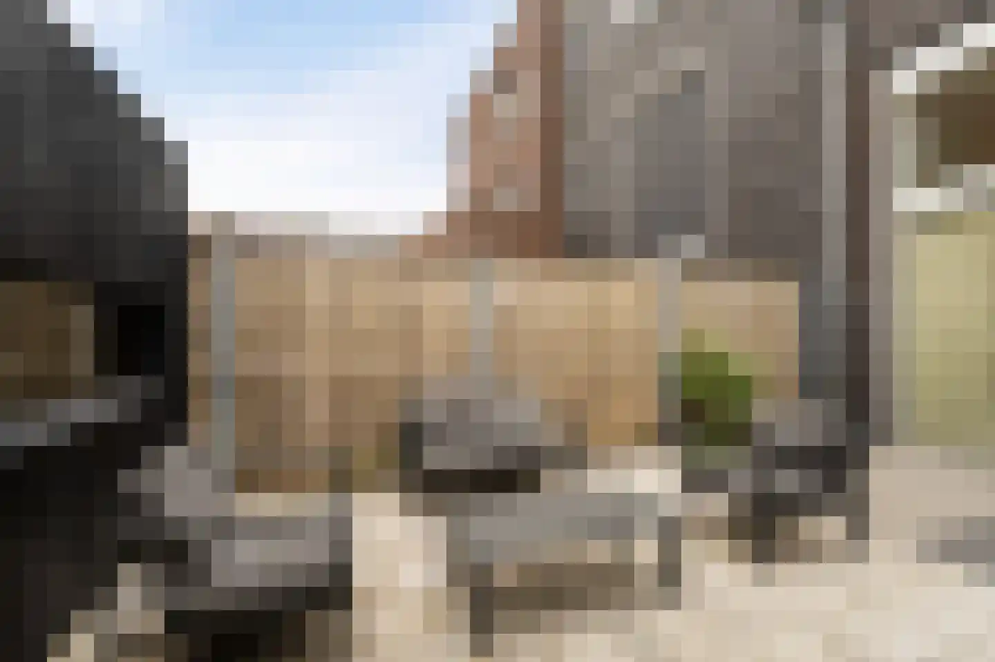 Waker 5 Kampen thumbnail 32
